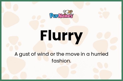 Flurry 🐶 - Dog Name Meaning & Popularity | PupNames.com™