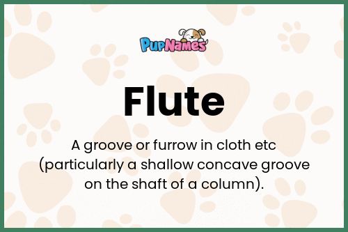 Flute dog name meaning