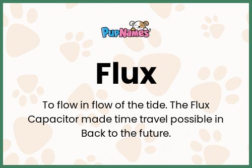 Flux dog name meaning