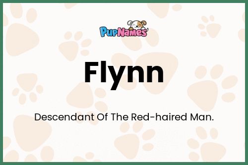 Flynn dog name meaning