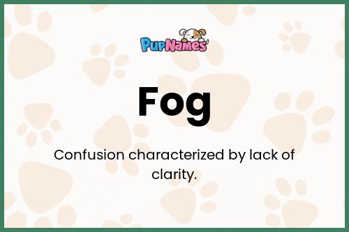 Fog dog name meaning