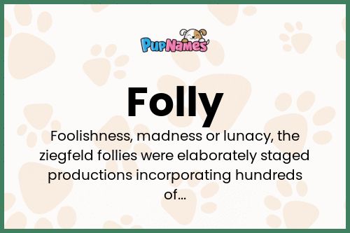 Folly dog name meaning