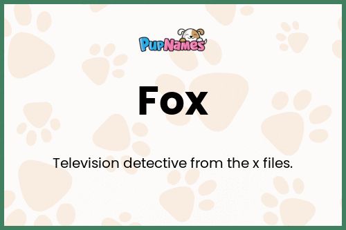 Fox dog name meaning