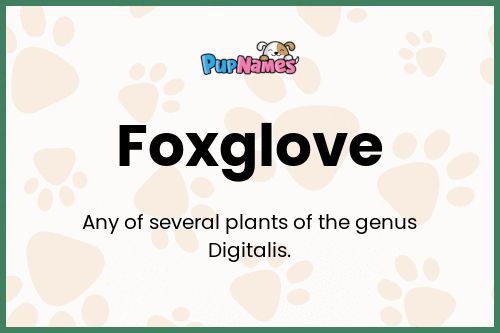 Foxglove dog name meaning