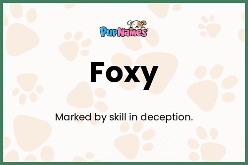 Foxy dog name meaning