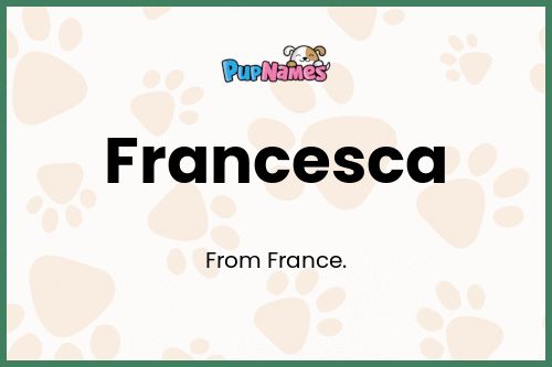 Francesca dog name meaning