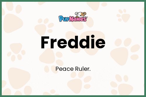 Freddie dog name meaning