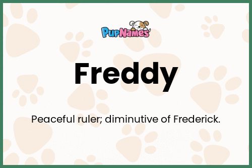 Freddy dog name meaning