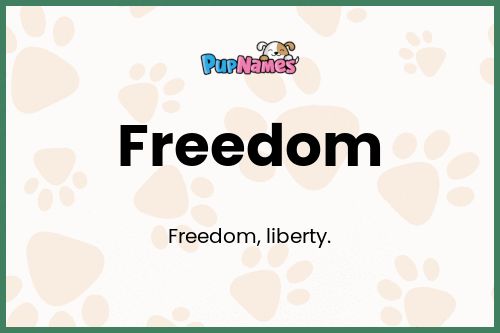 Freedom dog name meaning