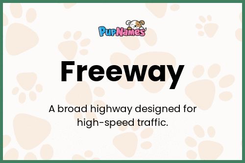 Freeway dog name meaning