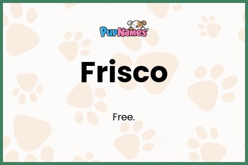 Frisco dog name meaning