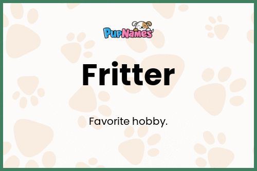 Fritter dog name meaning