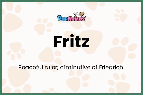 Fritz dog name meaning