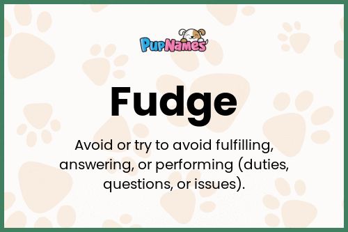 Fudge dog name meaning