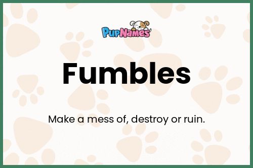 Fumbles dog name meaning