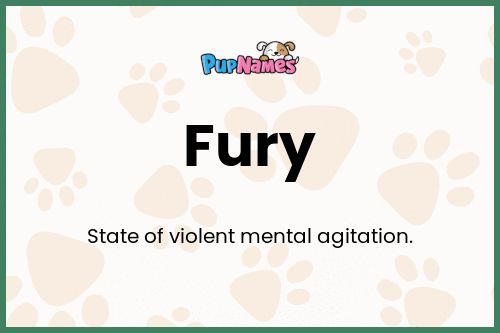 Fury dog name meaning