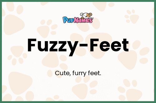 Fuzzy-Feet dog name meaning