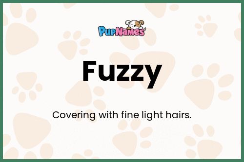 Fuzzy dog name meaning