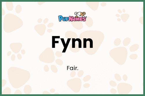 Fynn dog name meaning