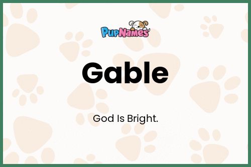 Gable Nombre De Perro Significado Y Popularidad PupNames Com