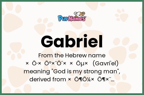 Gabriel dog name meaning