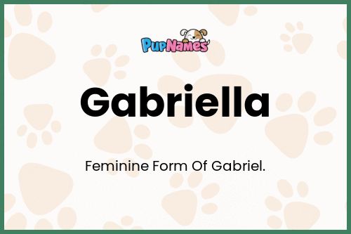 Gabriella dog name meaning