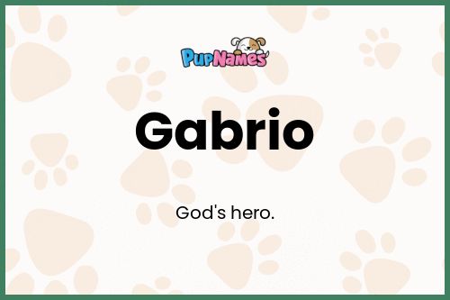 Gabrio dog name meaning