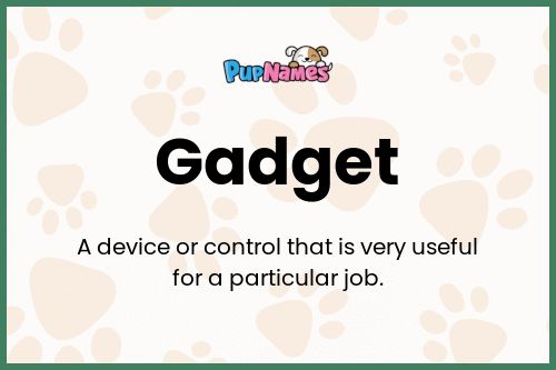 Gadget dog name meaning