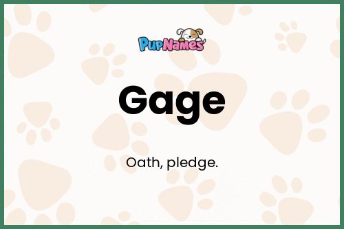 Gage dog name meaning