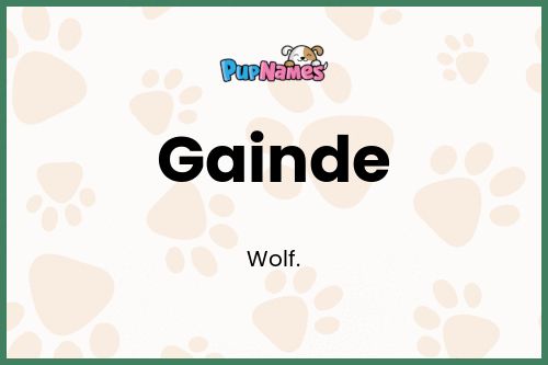 Gainde dog name meaning