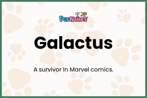 Galactus dog name meaning