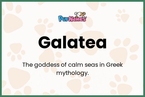 Galatea dog name meaning