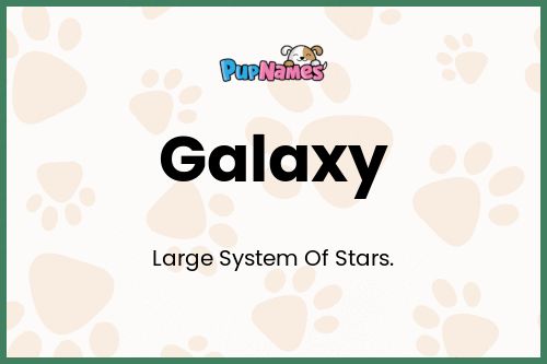 Galaxy dog name meaning