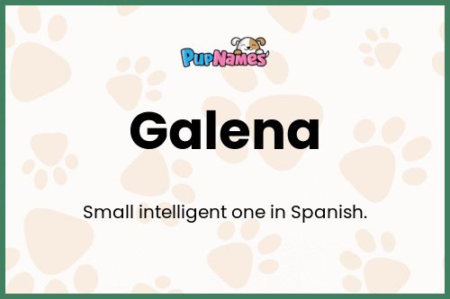 Galena dog name meaning