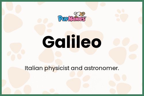 Galileo dog name meaning