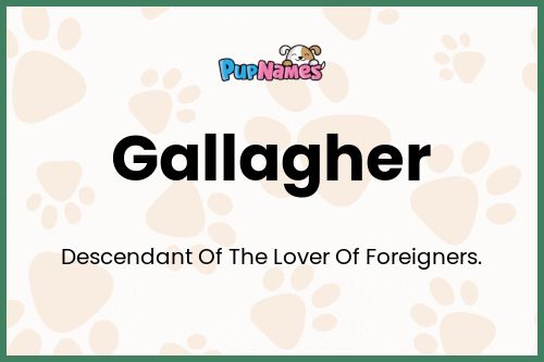 Gallagher dog name meaning