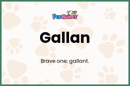 Gallan dog name meaning