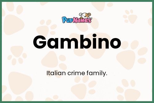 Gambino dog name meaning