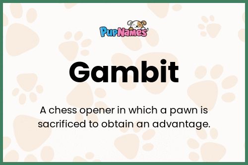 Gambit dog name meaning