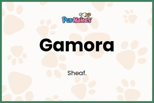 Gamora dog name meaning