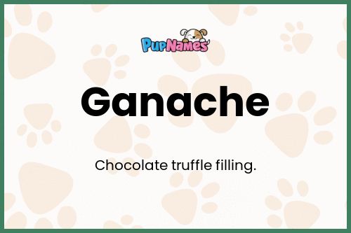 Ganache dog name meaning