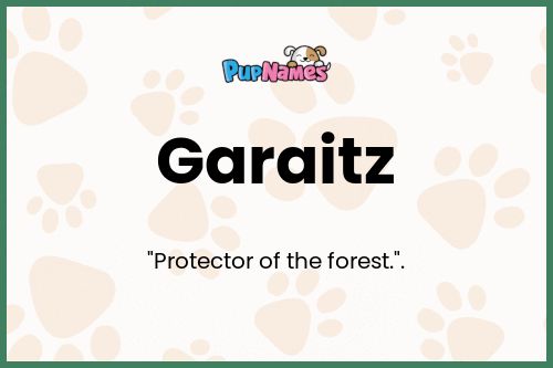 Garaitz dog name meaning