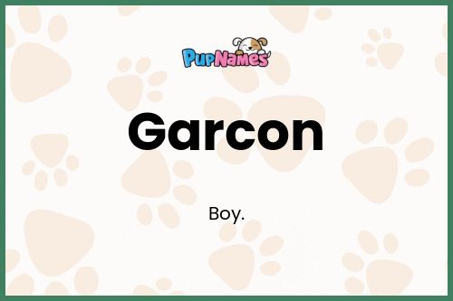 Garcon dog name meaning