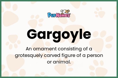 Gargoyle dog name meaning