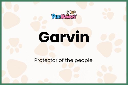 Garvin dog name meaning