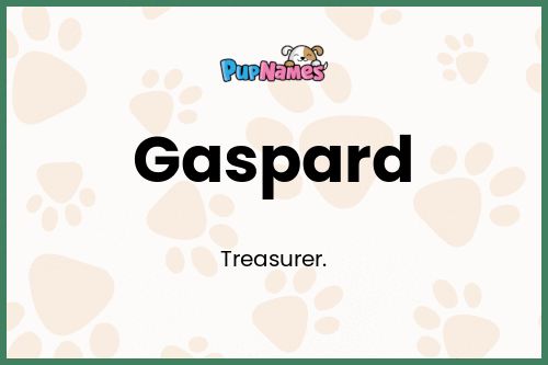 Gaspard dog name meaning