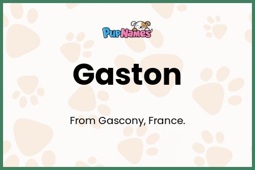 Gaston dog name meaning