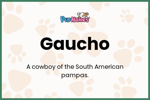 Gaucho dog name meaning