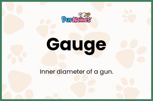 Gauge dog name meaning