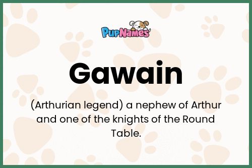 Gawain dog name meaning